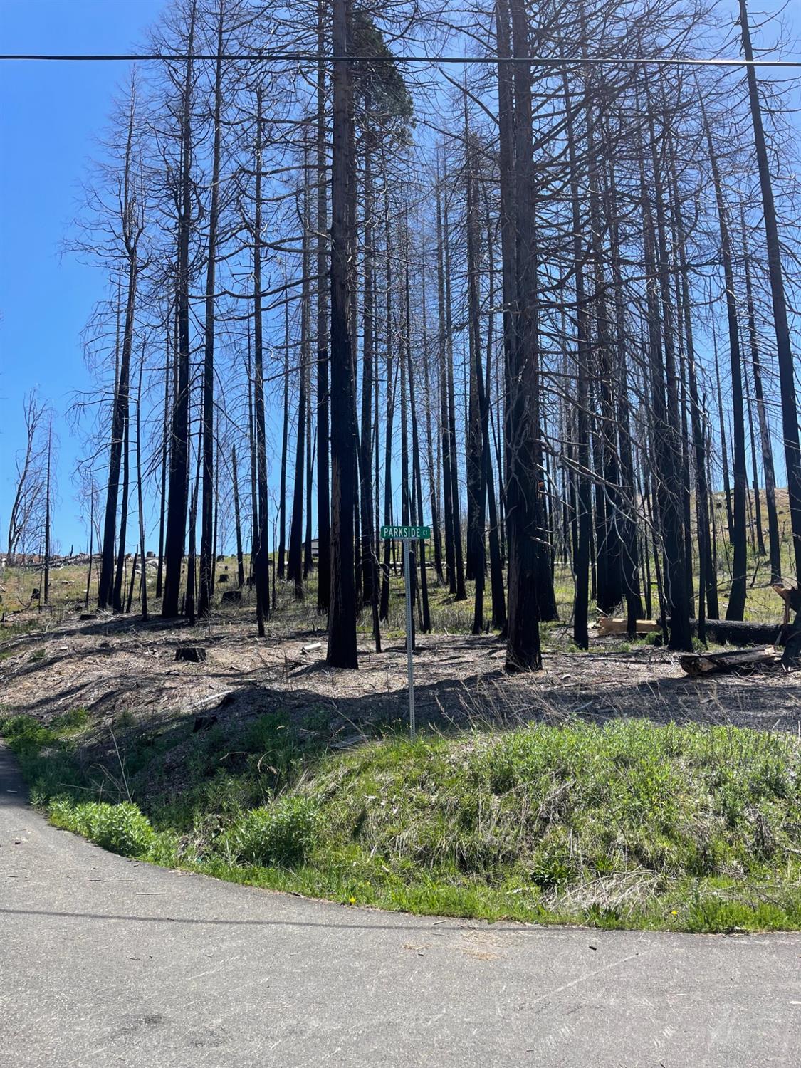 Parkside Drive, Grizzly Flats, California image 1