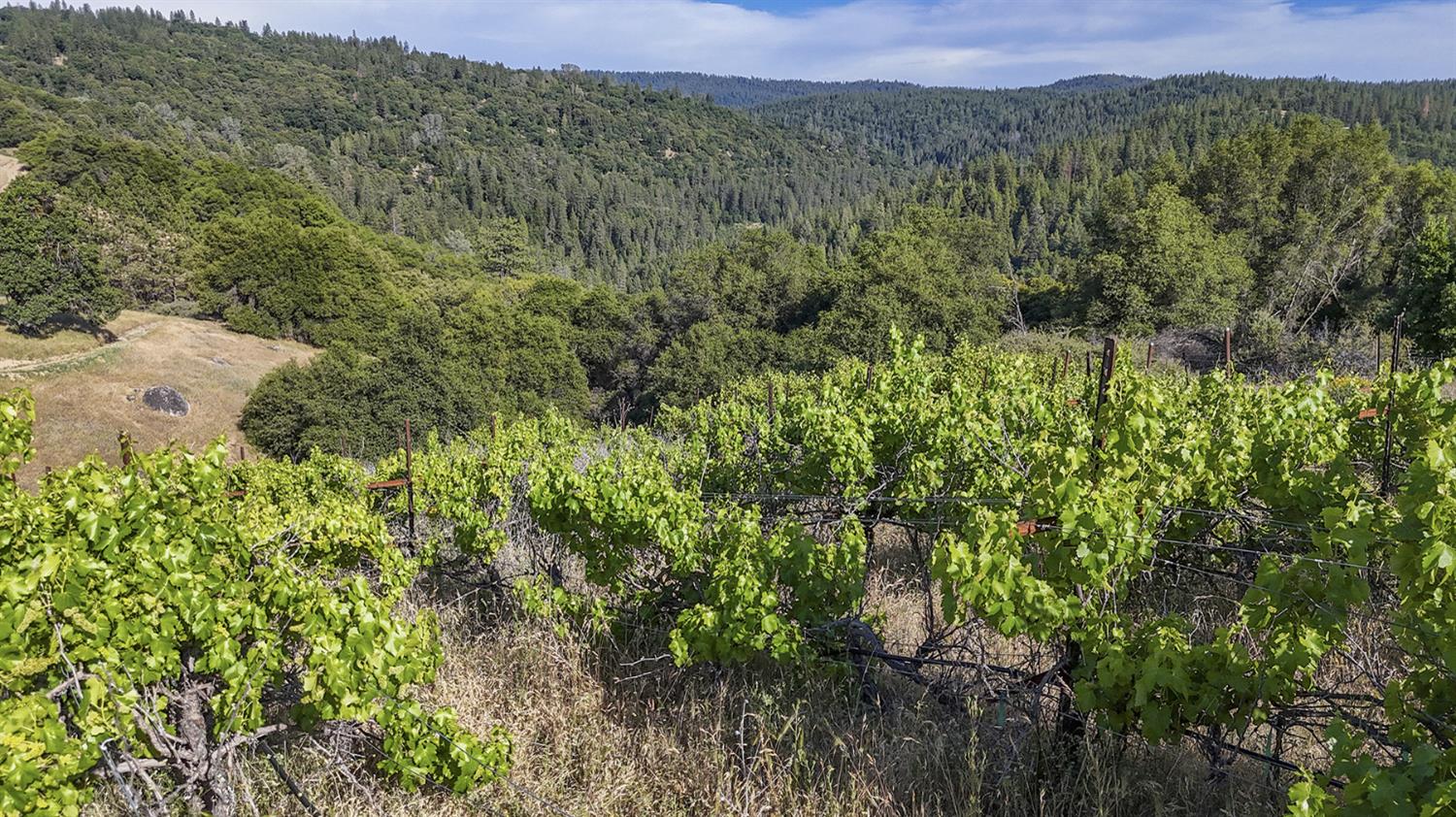 Happy Valley Road, Somerset, California image 17