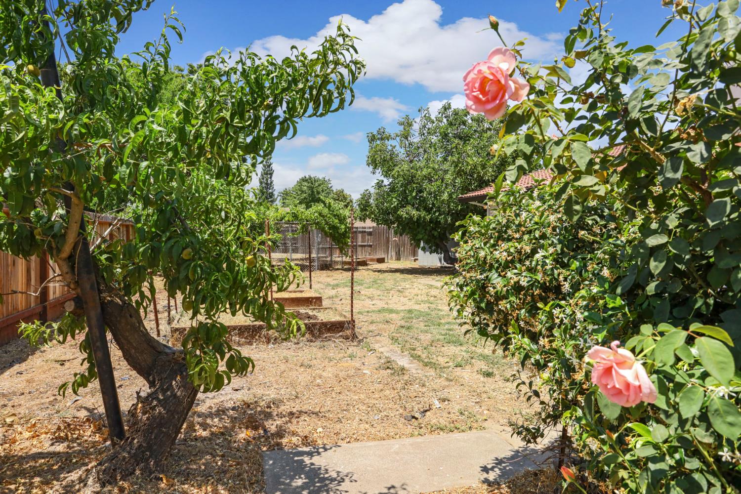 146 Brodiewest Ct., Galt, California image 33