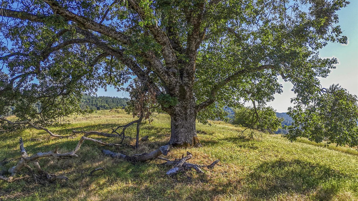 Happy Valley Road, Somerset, California image 23