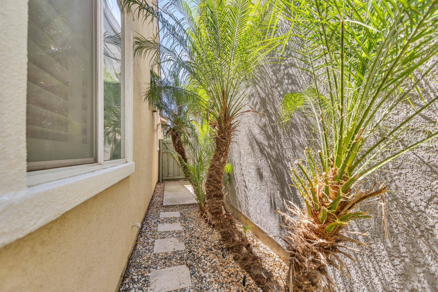 Buchman Street, Sacramento, California image 30