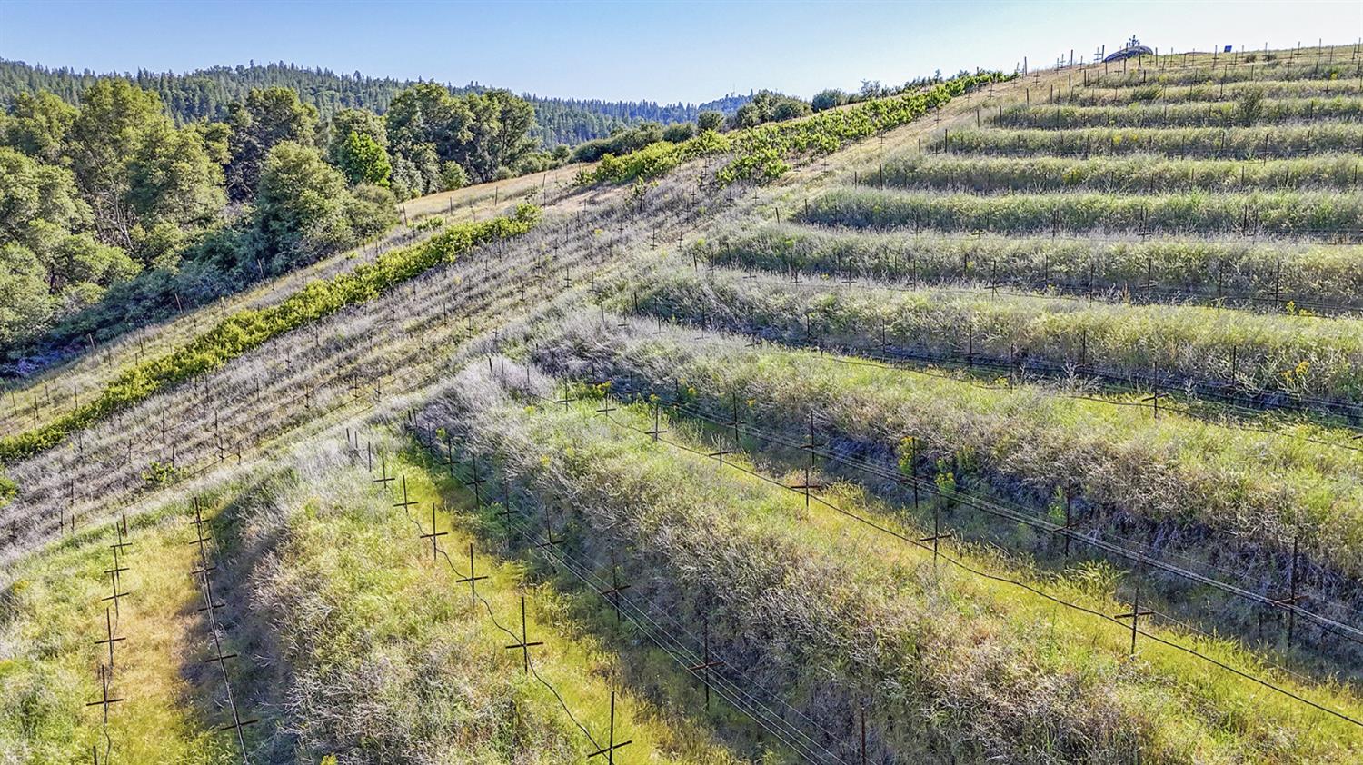 Happy Valley Road, Somerset, California image 12
