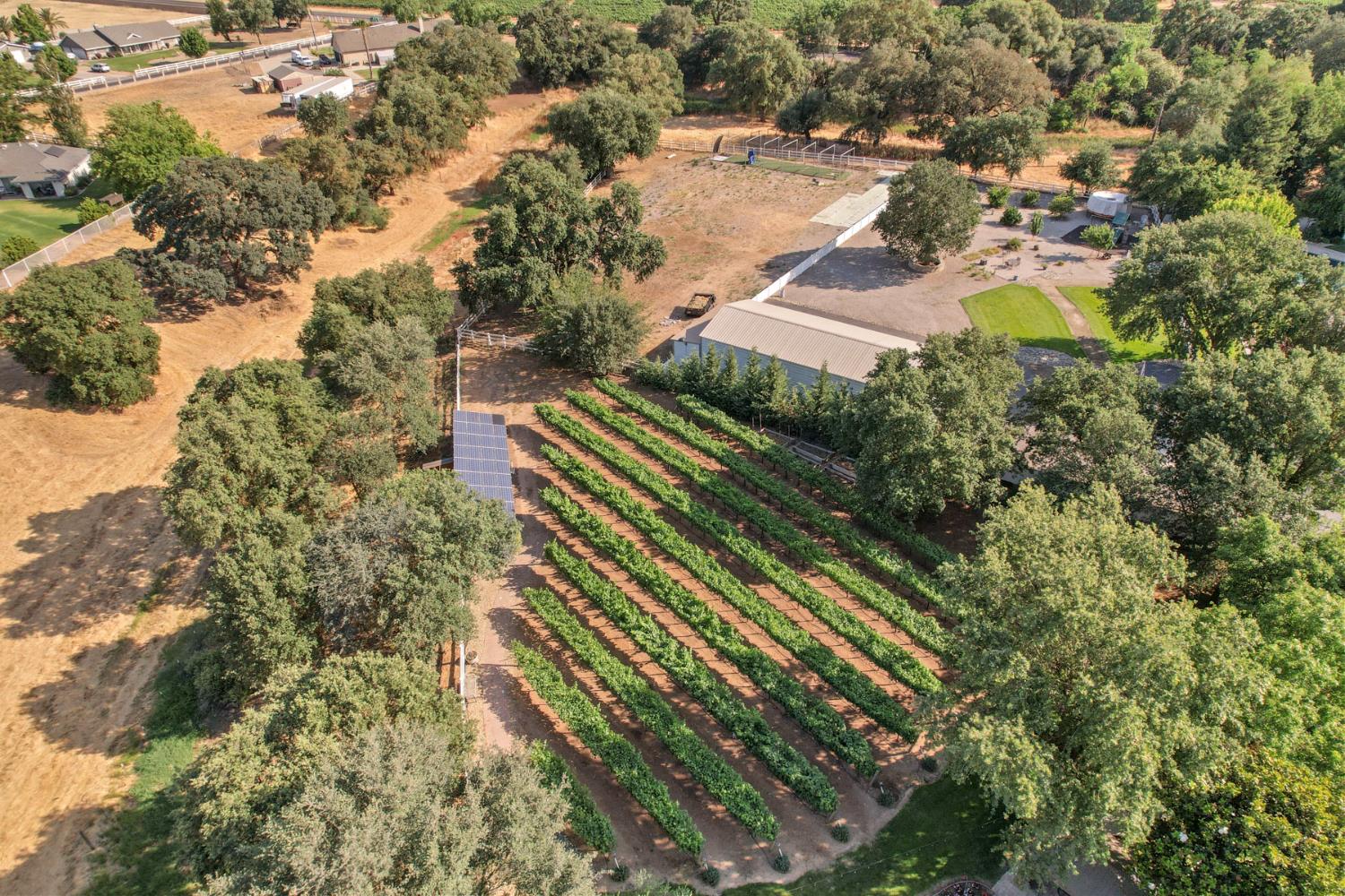Detail Gallery Image 72 of 74 For 24646 Meadow Creek Ct, Acampo,  CA 95220 - 4 Beds | 4/1 Baths