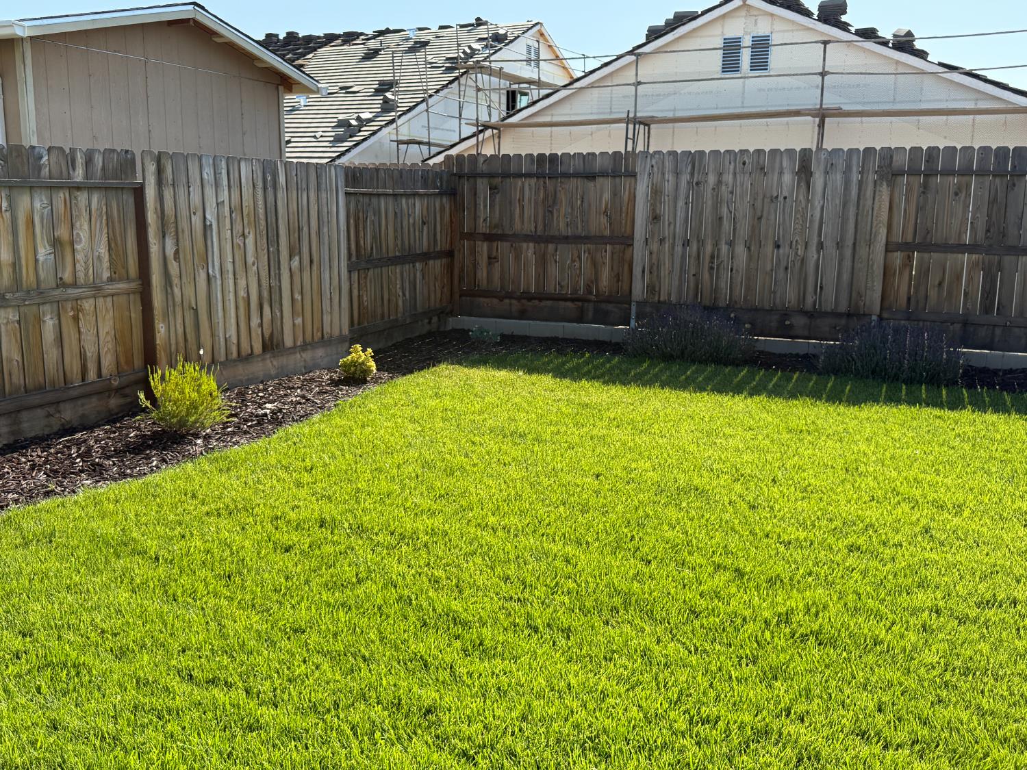 Morro Court, Los Banos, California image 21