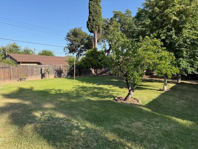 Tyler Street, Sacramento, California image 5