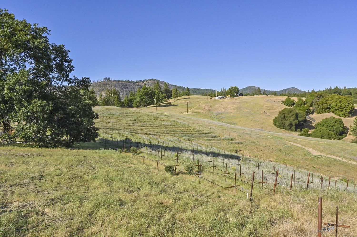 Happy Valley Road, Somerset, California image 27