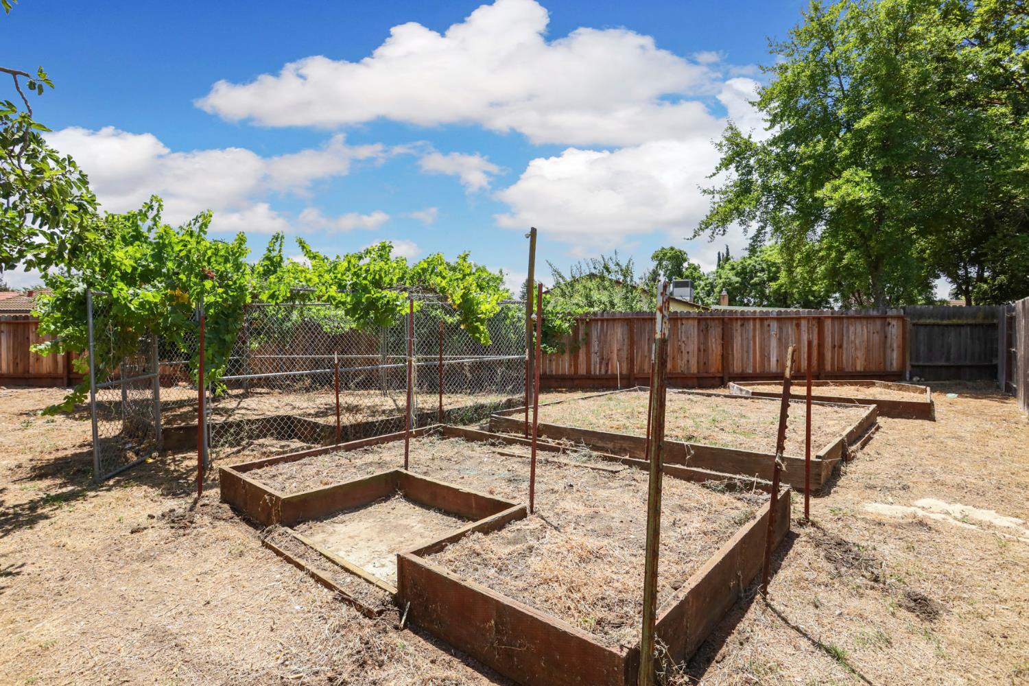 146 Brodiewest Ct., Galt, California image 36