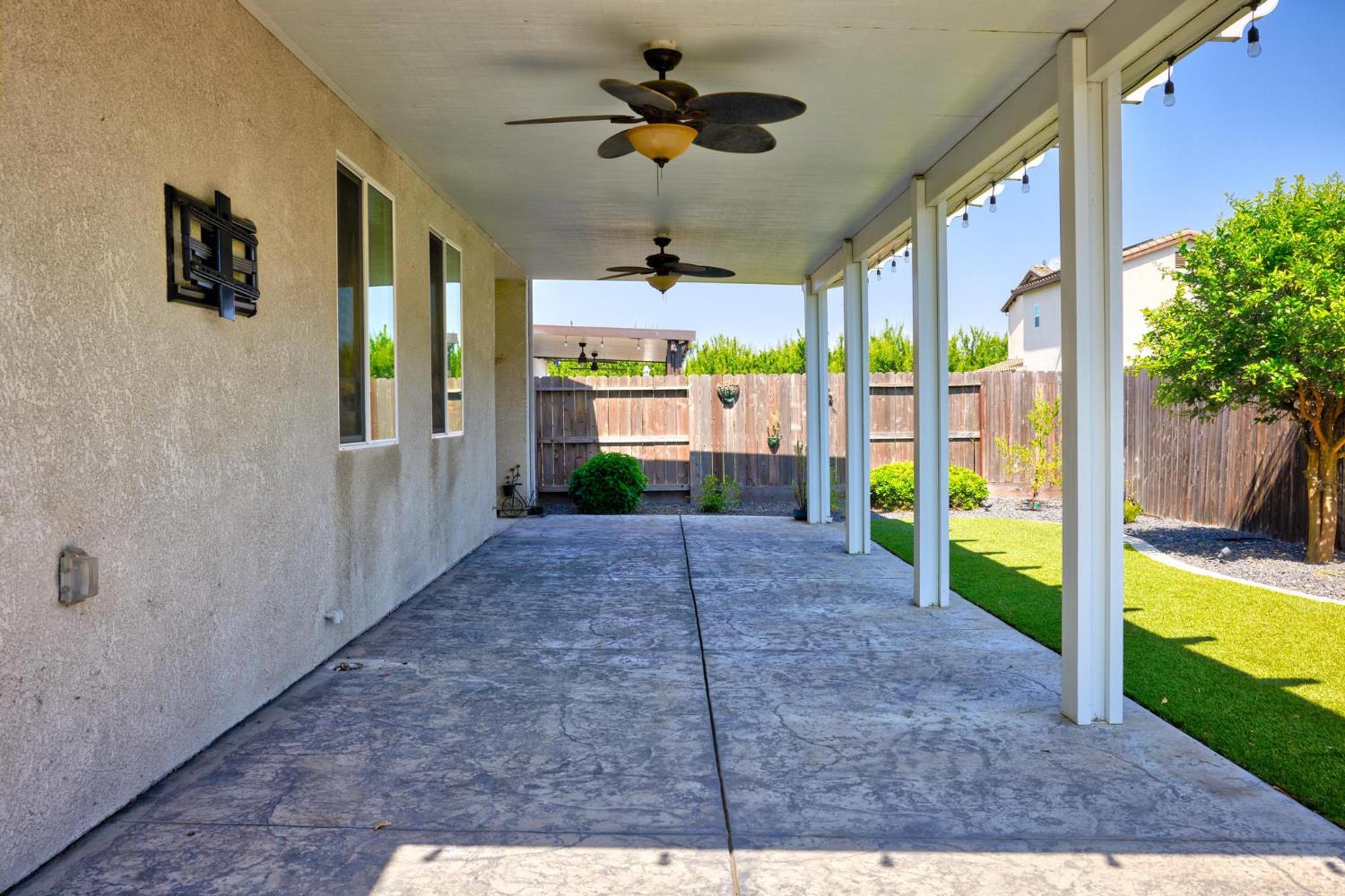 Peach, Manteca, California image 34