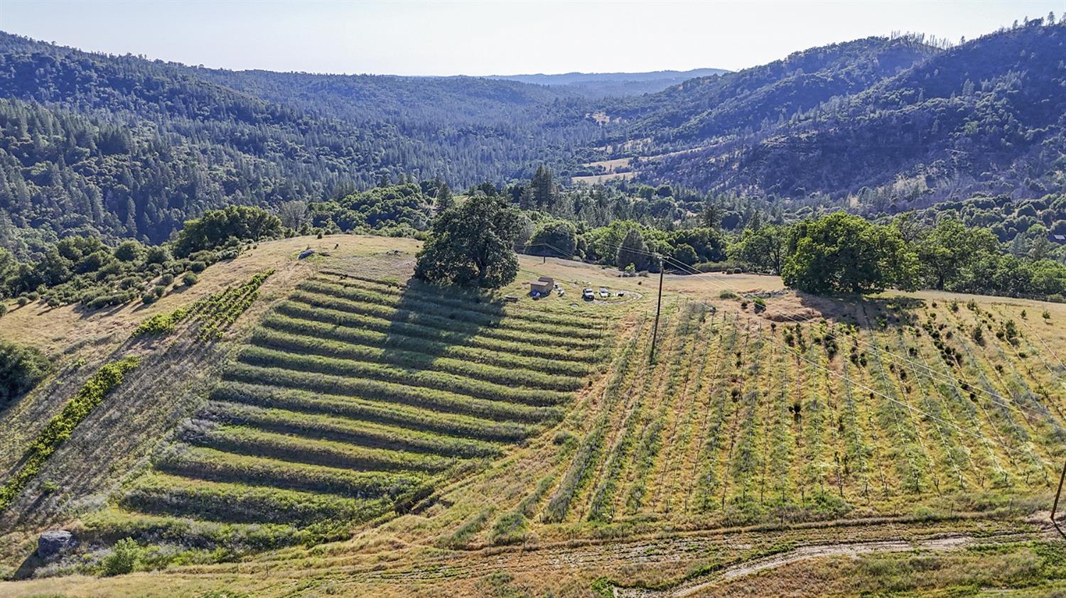 Happy Valley Road, Somerset, California image 16