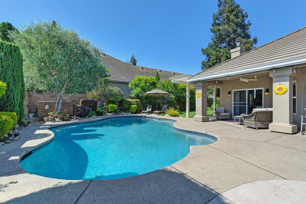 Vienna Drive, Lodi, California image 42