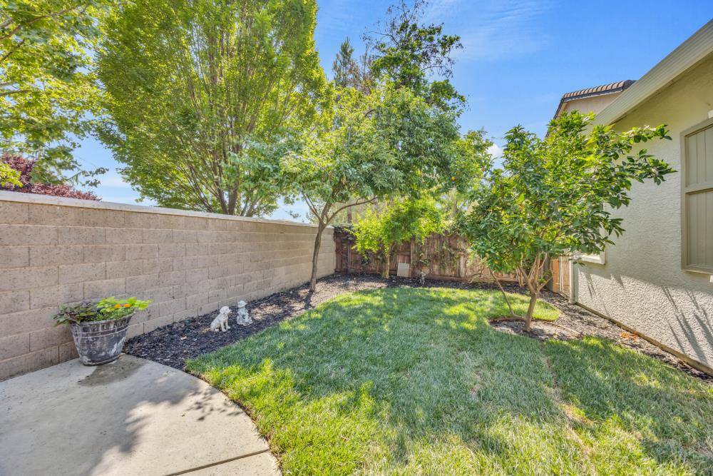 Montrose Lane, Lincoln, California image 47