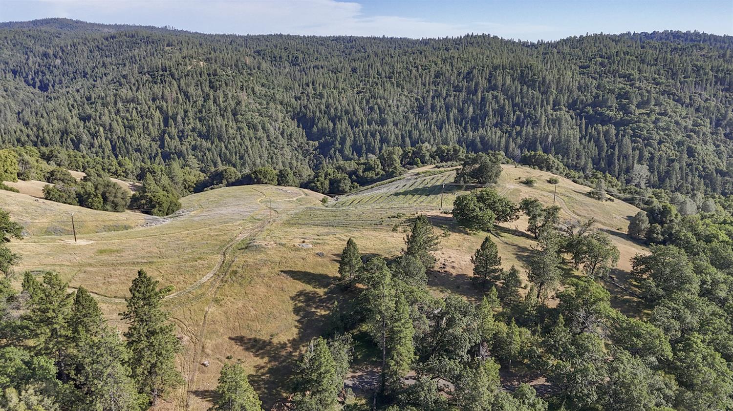 Happy Valley Road, Somerset, California image 36