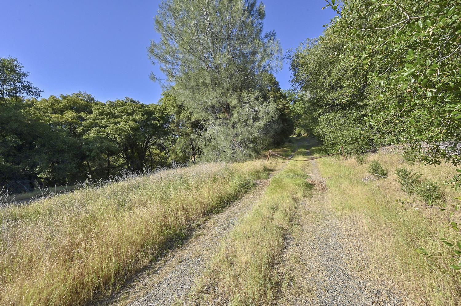 Happy Valley Road, Somerset, California image 4