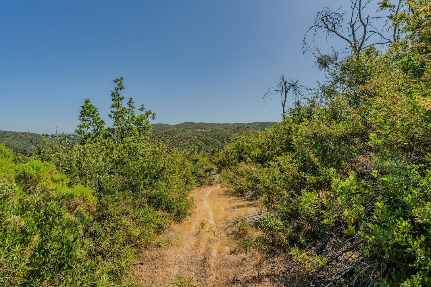 E Hawver Road, Mokelumne Hill, California image 22