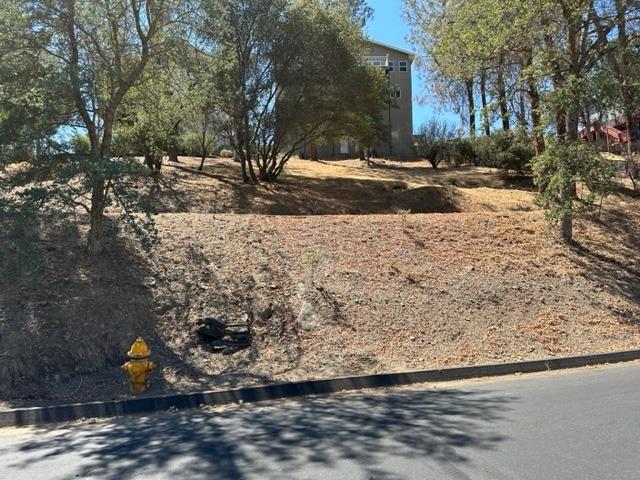Foothill Road, Copperopolis, California image 7