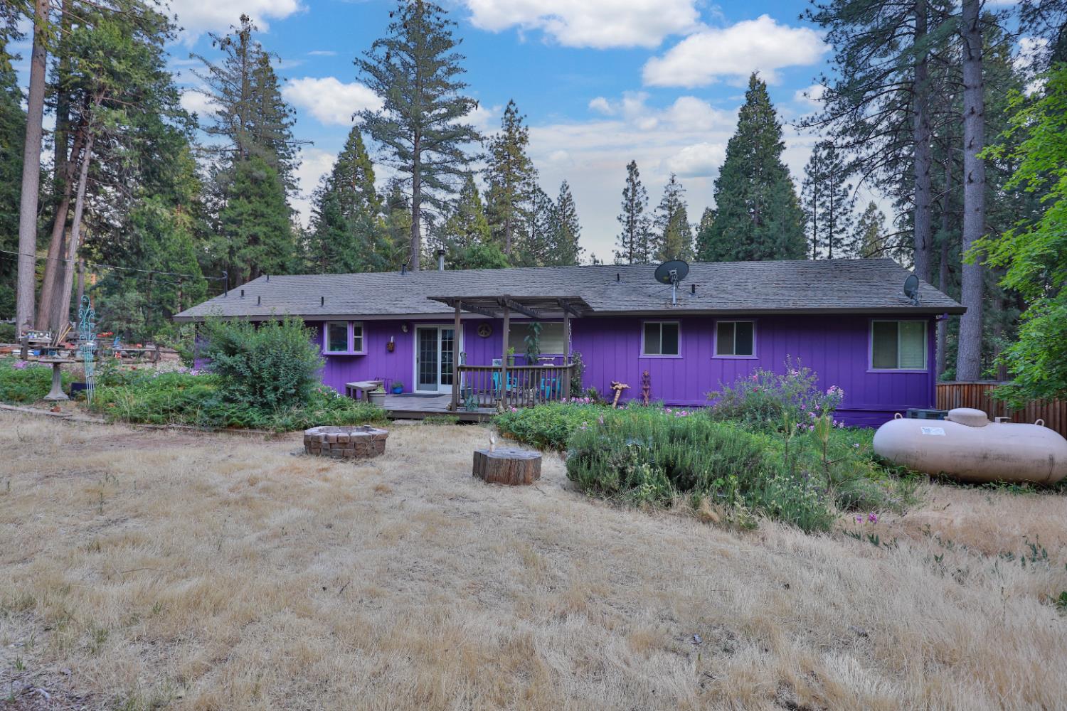 Altamont, Placerville, California image 4