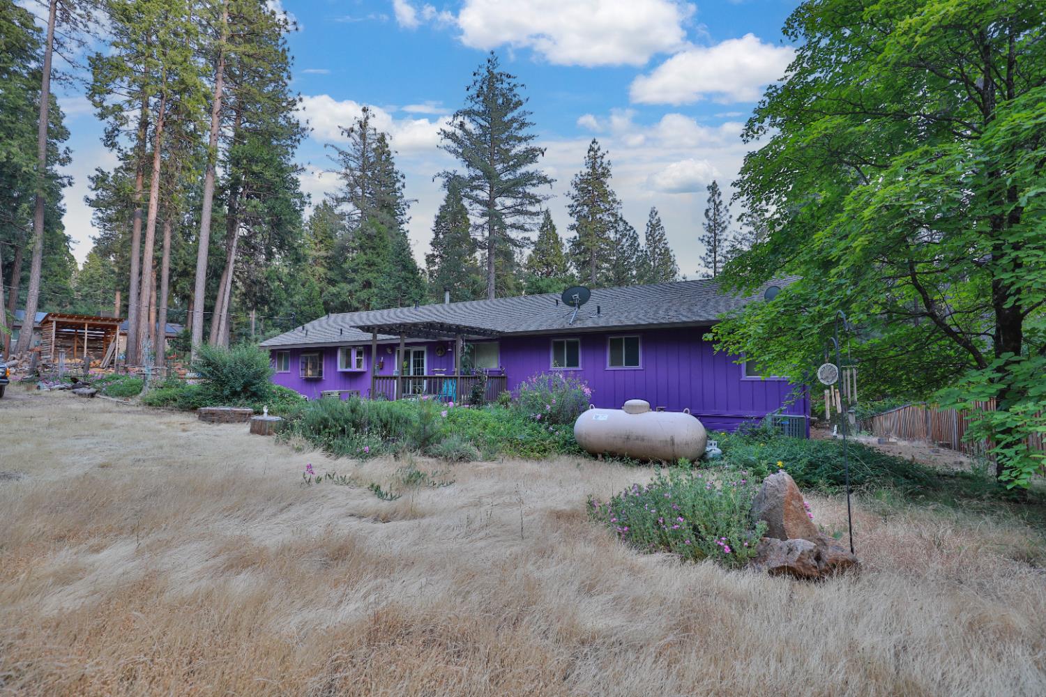 Altamont, Placerville, California image 5
