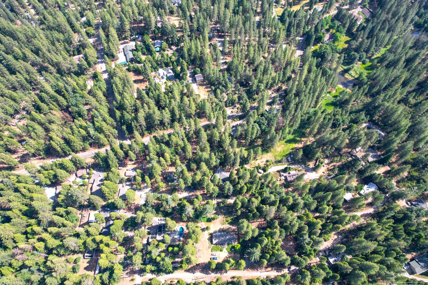 Altamont, Placerville, California image 42