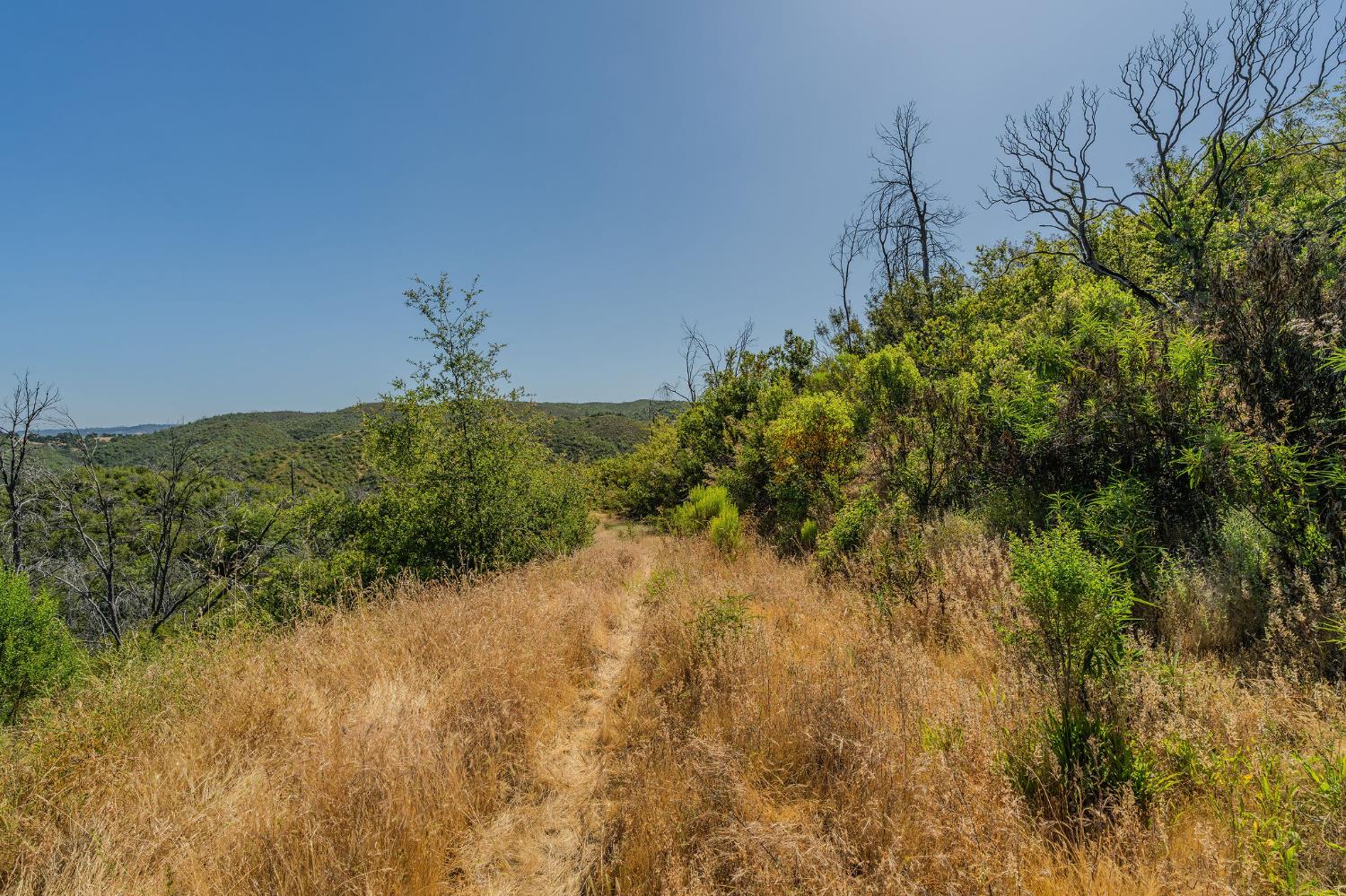 E Hawver Road, Mokelumne Hill, California image 26