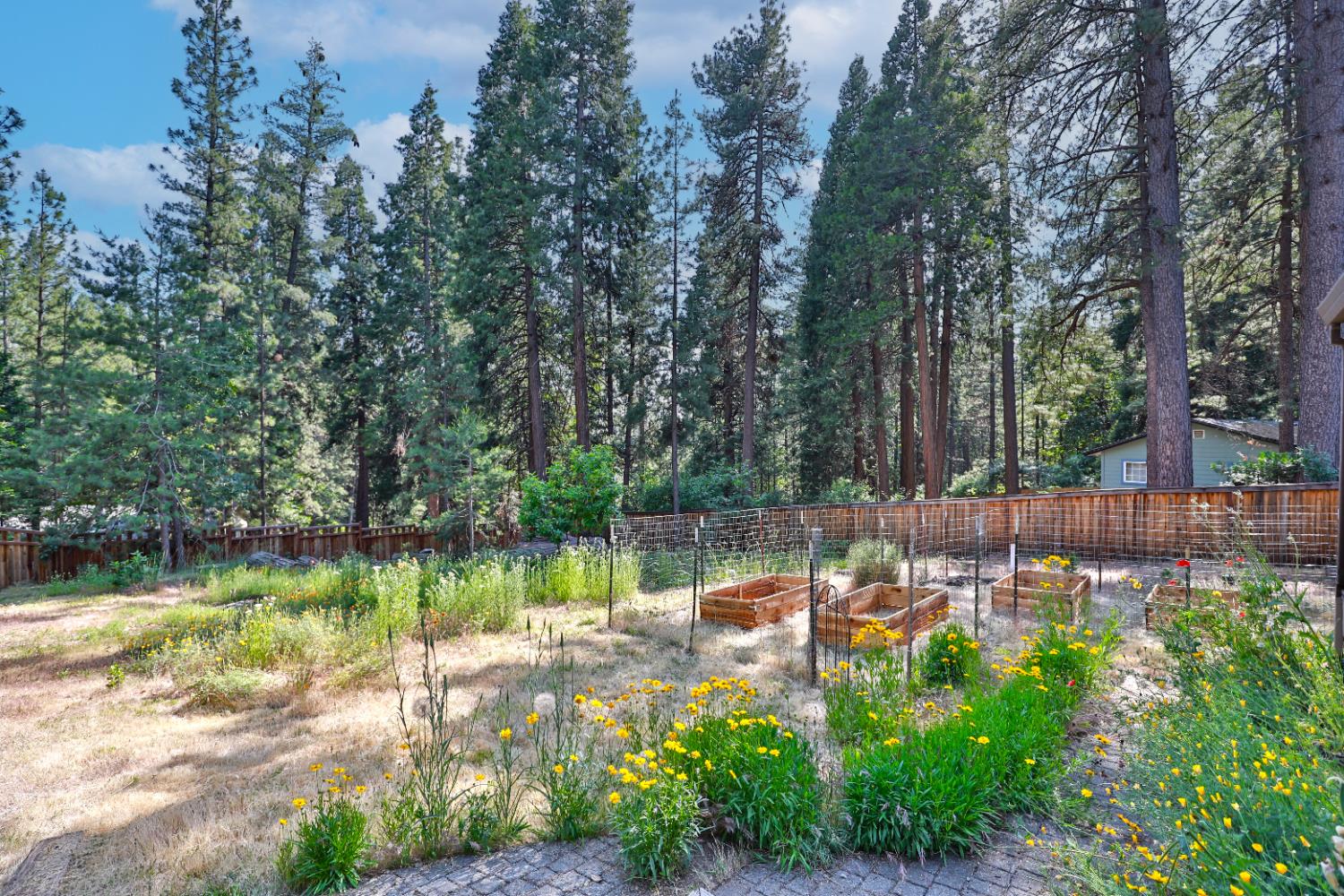 Altamont, Placerville, California image 35