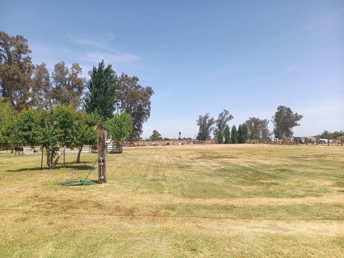Westside Boulevard, Livingston, California image 8