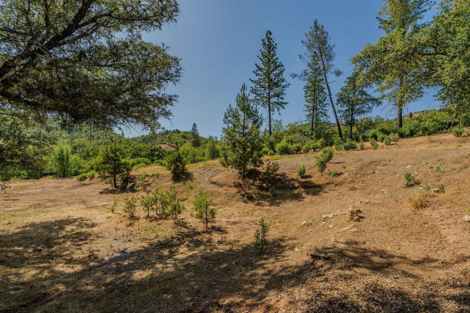 E Hawver Road, Mokelumne Hill, California image 8