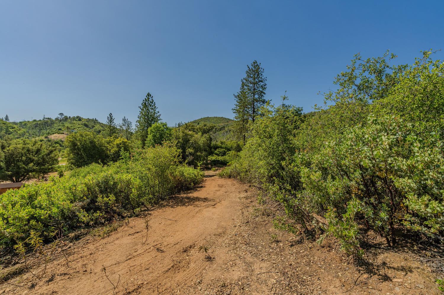 E Hawver Road, Mokelumne Hill, California image 17