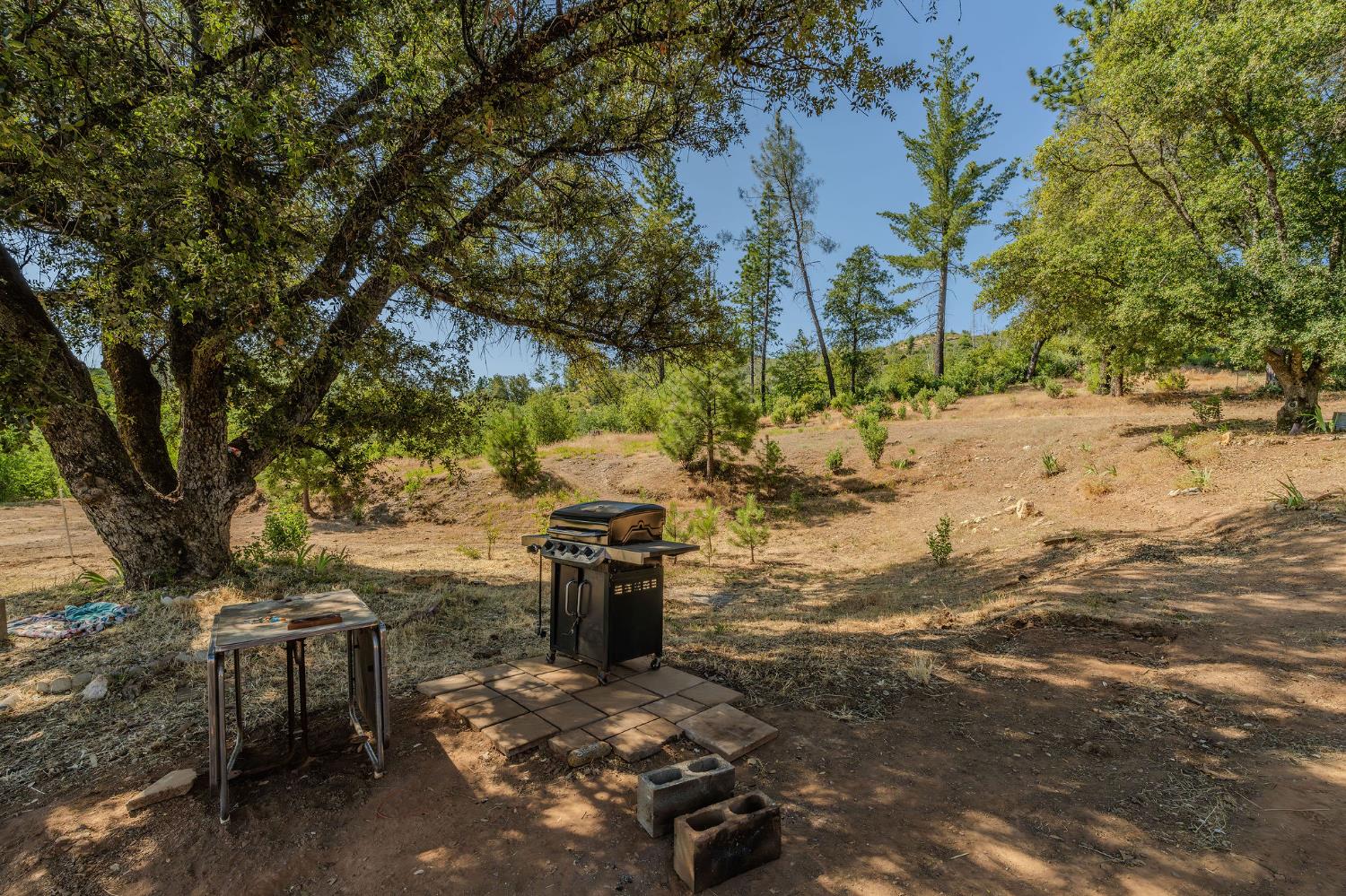 E Hawver Road, Mokelumne Hill, California image 7