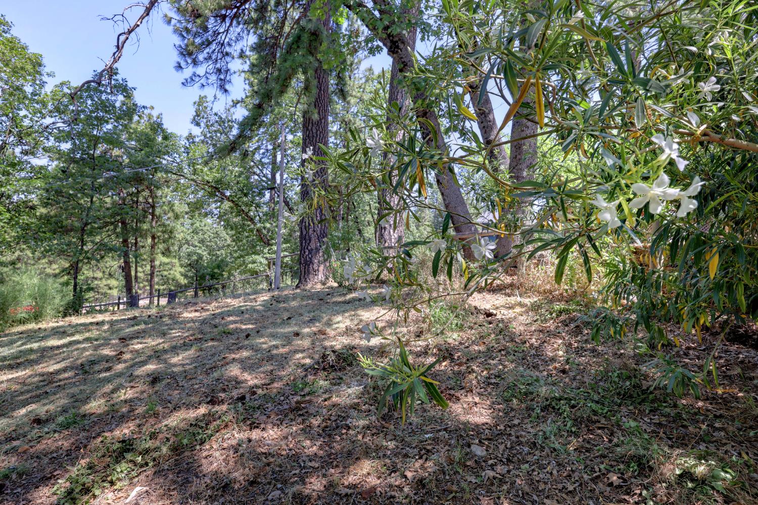 Detail Gallery Image 54 of 66 For 895 Sunray Ln, Colfax,  CA 95713 - 3 Beds | 3 Baths