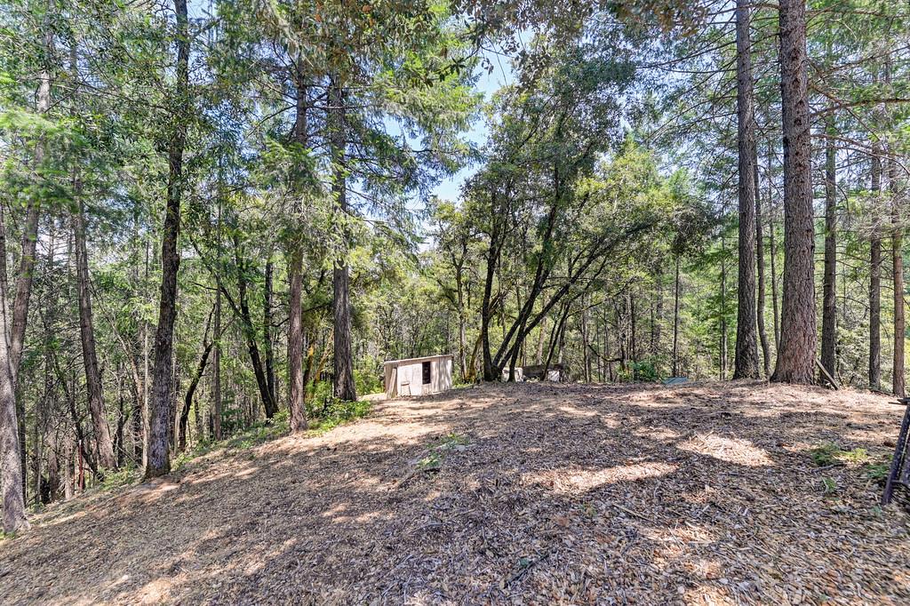Detail Gallery Image 41 of 47 For 480 Ridgeback Ln, Colfax,  CA 95713 - 3 Beds | 2 Baths