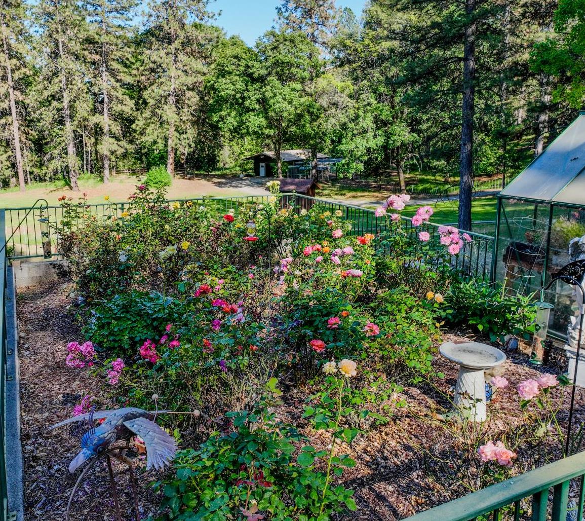 Detail Gallery Image 55 of 91 For 16160 Willow Glen Rd, Brownsville,  CA 95919 - 3 Beds | 3/1 Baths