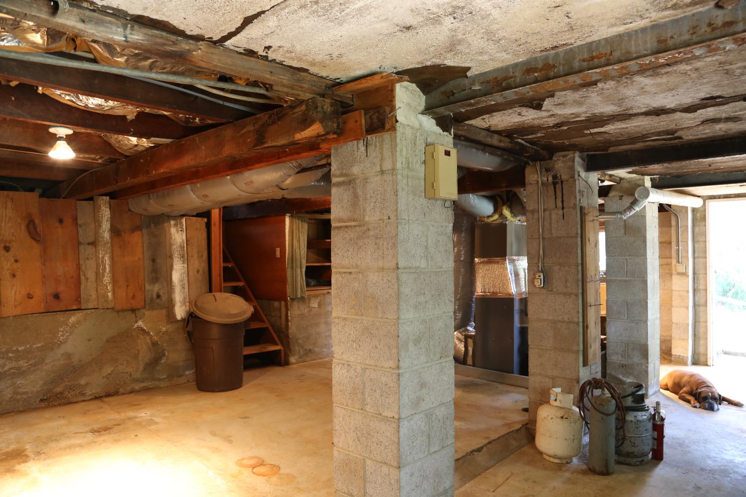 Detail Gallery Image 55 of 71 For 2840 Gardella Ln, Camino,  CA 95709 - 3 Beds | 2 Baths