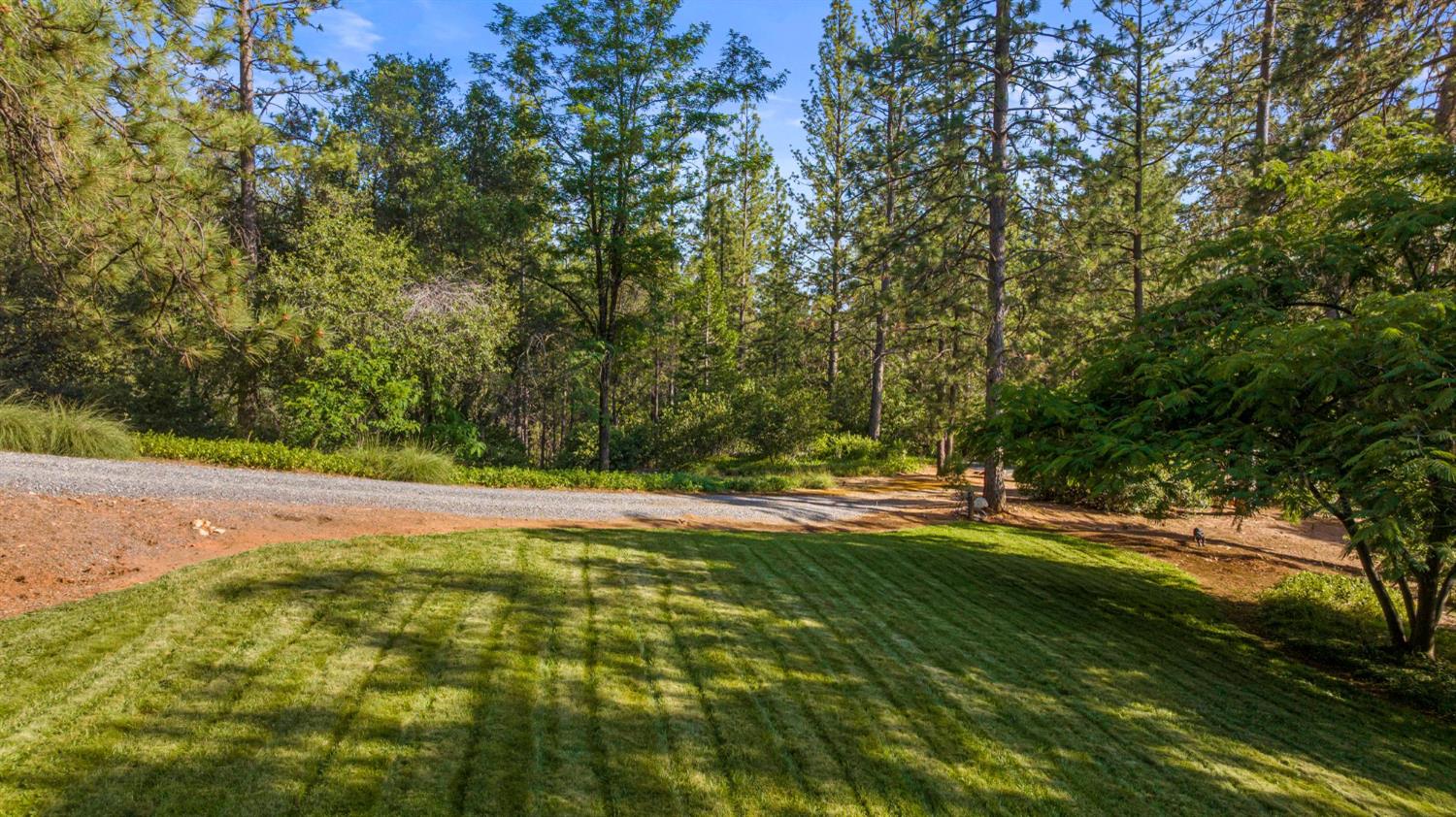 Detail Gallery Image 95 of 97 For 5821 Spanish Flat Rd, Garden Valley,  CA 95633 - 2 Beds | 5/1 Baths