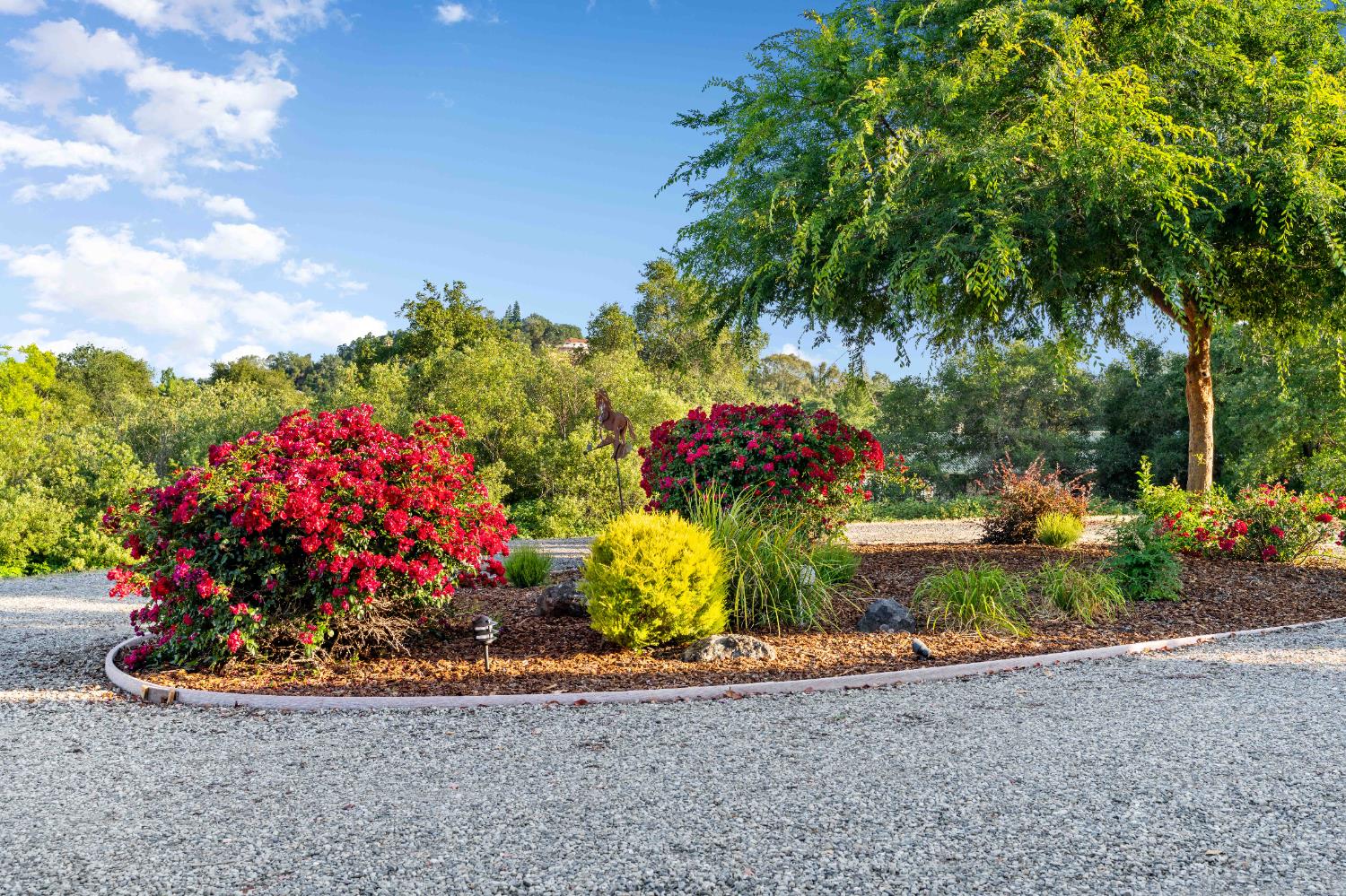 Detail Gallery Image 57 of 98 For 3930 Leak Ln, Loomis,  CA 95650 - 4 Beds | 4 Baths