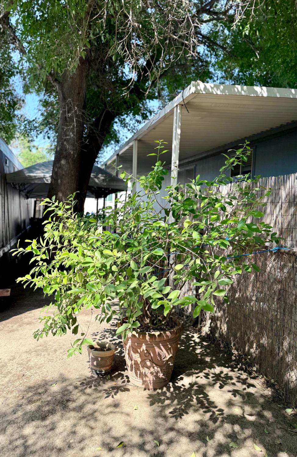 Detail Gallery Image 27 of 29 For 3728 Arroyo Seco Ln 81, North Highlands,  CA 95660 - 2 Beds | 1 Baths