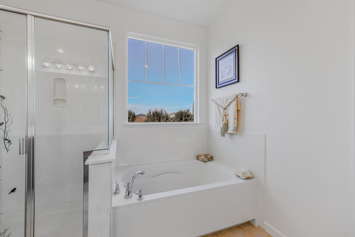 Detail Gallery Image 44 of 53 For 327 W Laverne Ct, Mountain House,  CA 95391 - 4 Beds | 3 Baths