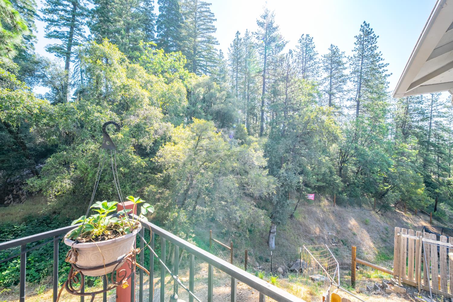 Detail Gallery Image 48 of 73 For 111 W Oak Hill Dr, Colfax,  CA 95713 - 4 Beds | 2/1 Baths