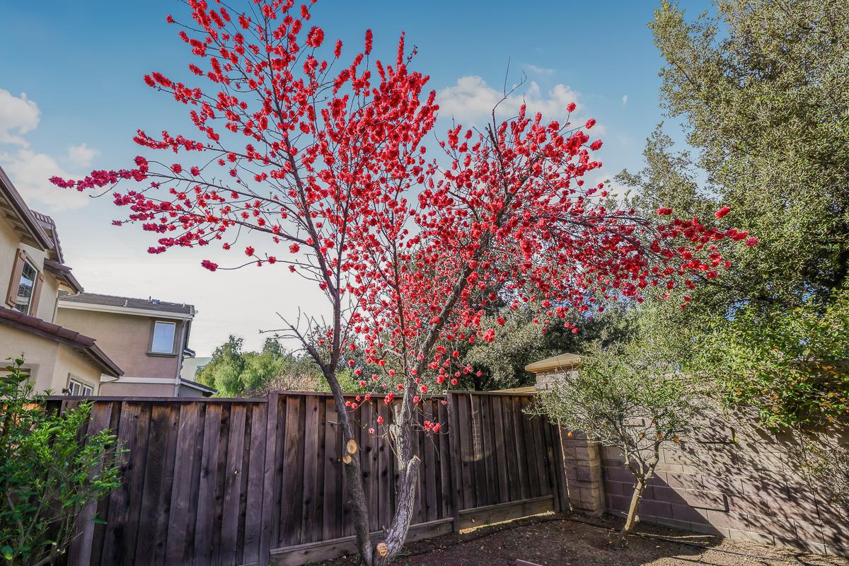 Detail Gallery Image 52 of 53 For 327 W Laverne Ct, Mountain House,  CA 95391 - 4 Beds | 3 Baths