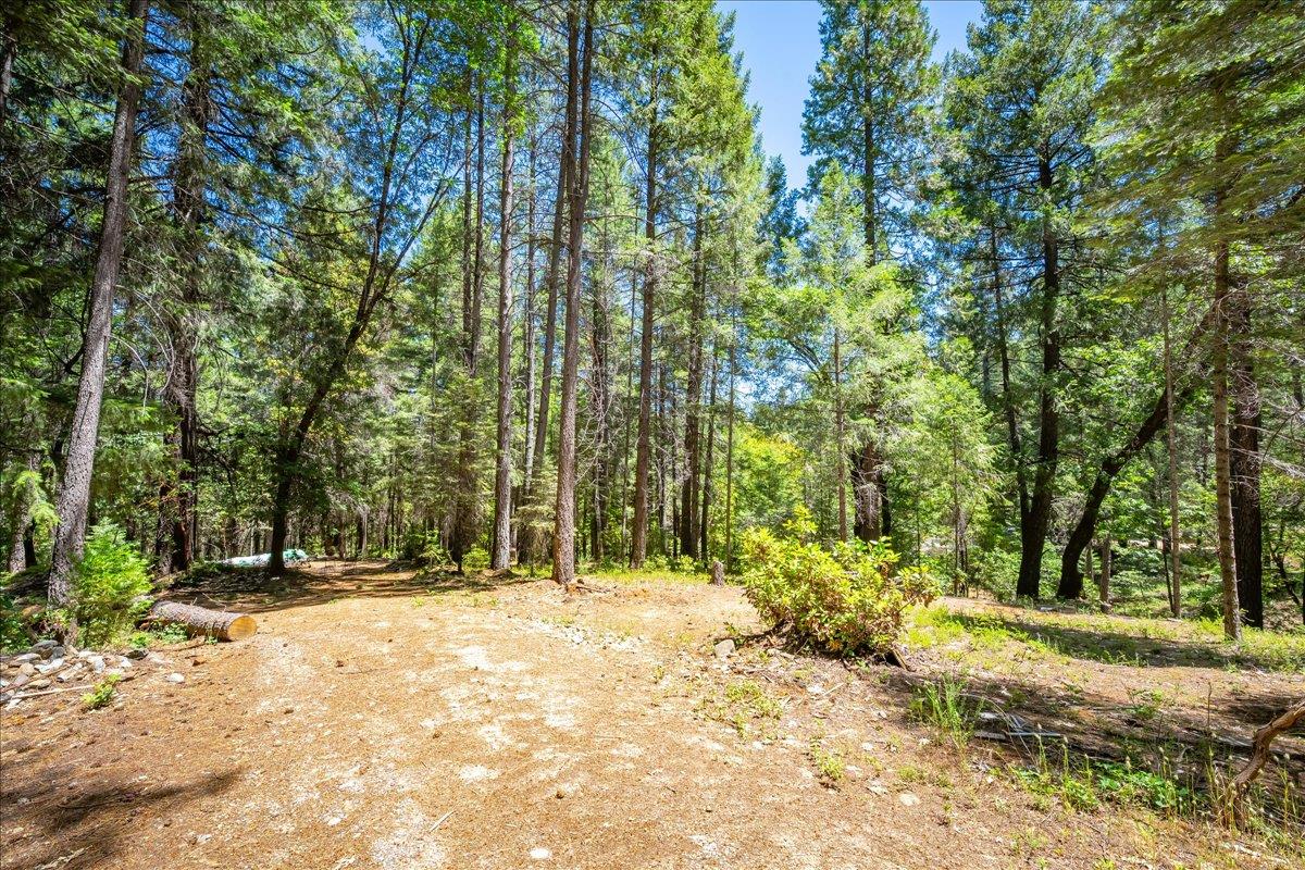 Detail Gallery Image 78 of 93 For 3065 Oregon Trail Rd, Georgetown,  CA 95634 - 3 Beds | 2 Baths