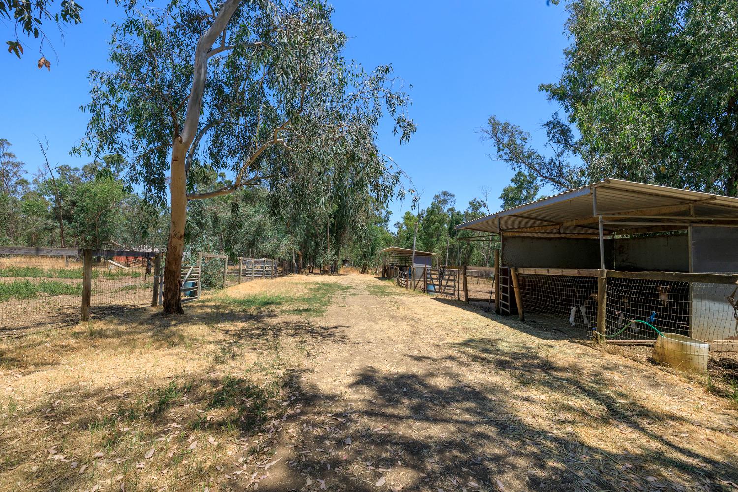 Detail Gallery Image 61 of 73 For 11931 Giusti Rd, Herald,  CA 95638 - 4 Beds | 3 Baths
