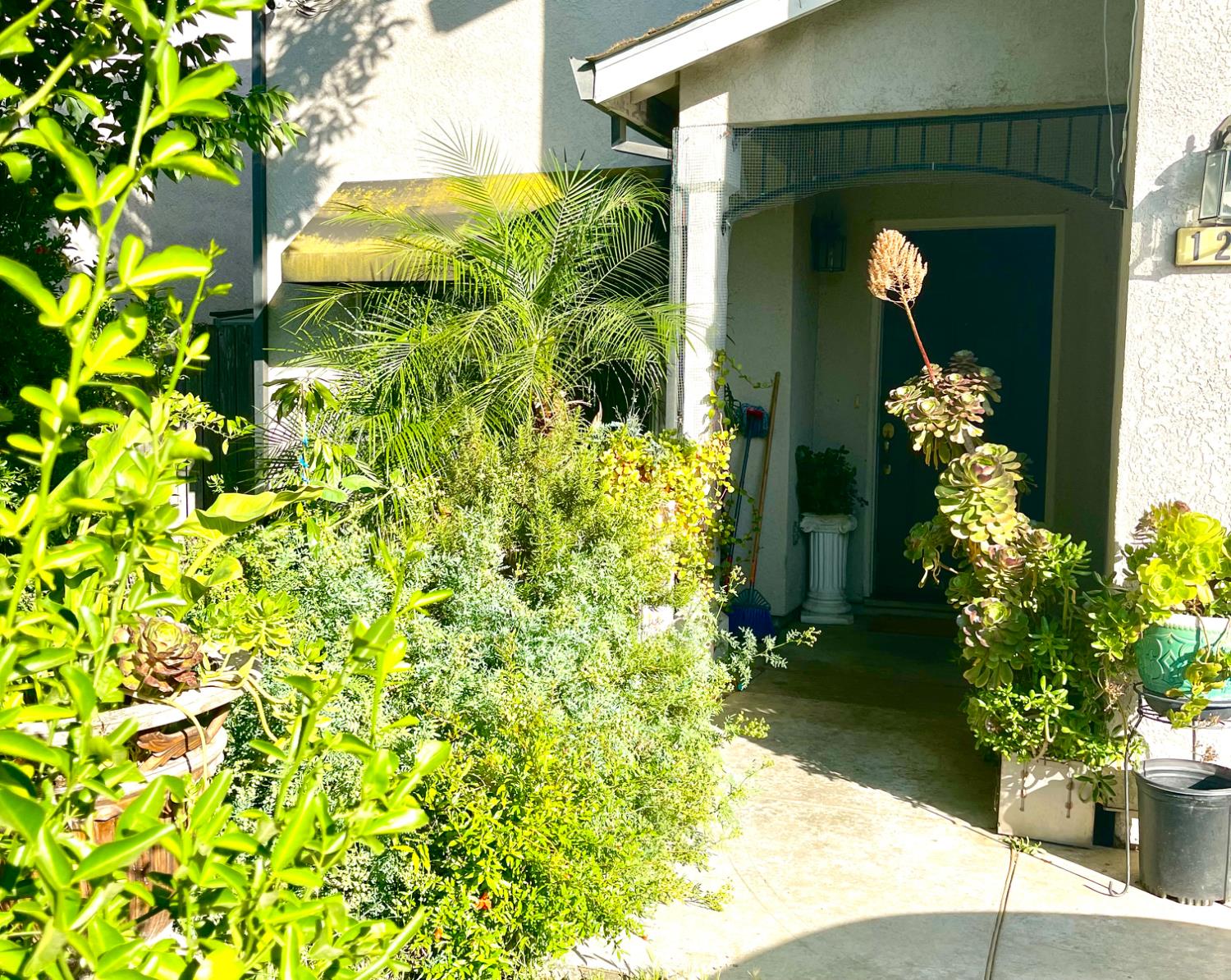 Detail Gallery Image 3 of 3 For 1242 Sunup Dr, Merced,  CA 95348 - 3 Beds | 2 Baths