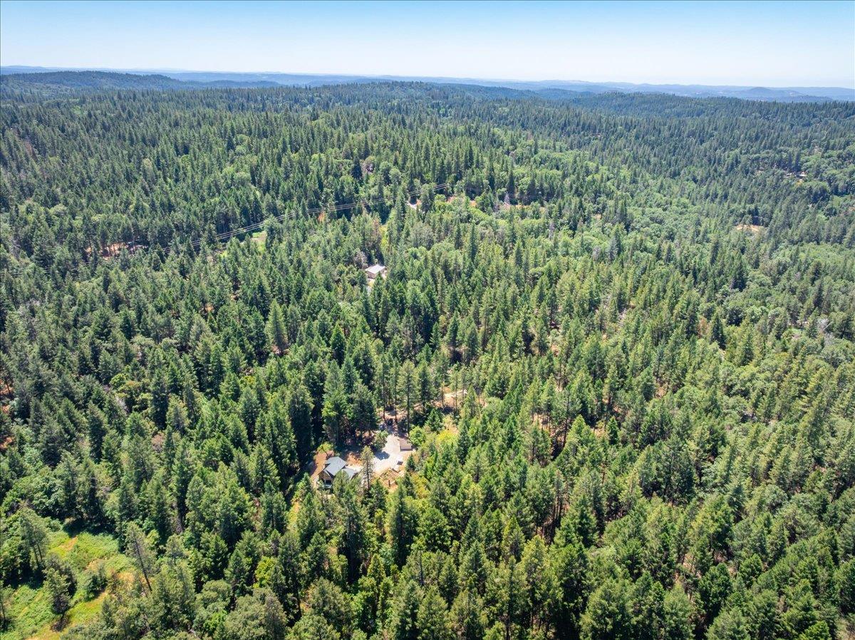 Detail Gallery Image 87 of 93 For 3065 Oregon Trail Rd, Georgetown,  CA 95634 - 3 Beds | 2 Baths