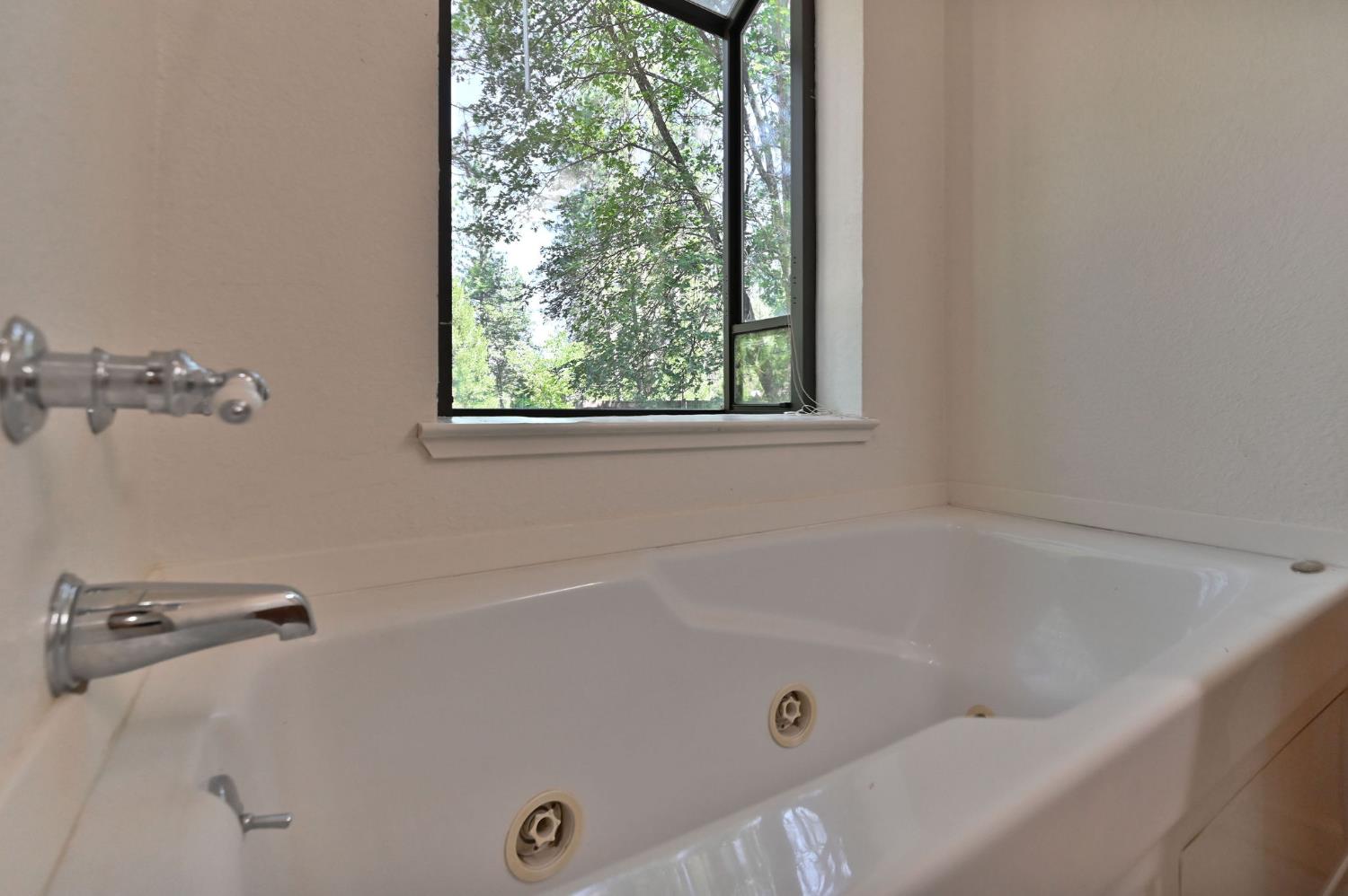 Detail Gallery Image 55 of 84 For 4353 Champion Ct, Wilseyville,  CA 95257 - 3 Beds | 4 Baths