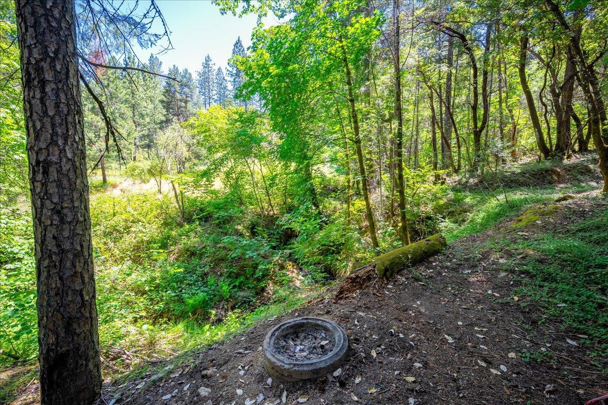 Detail Gallery Image 57 of 93 For 3065 Oregon Trail Rd, Georgetown,  CA 95634 - 3 Beds | 2 Baths