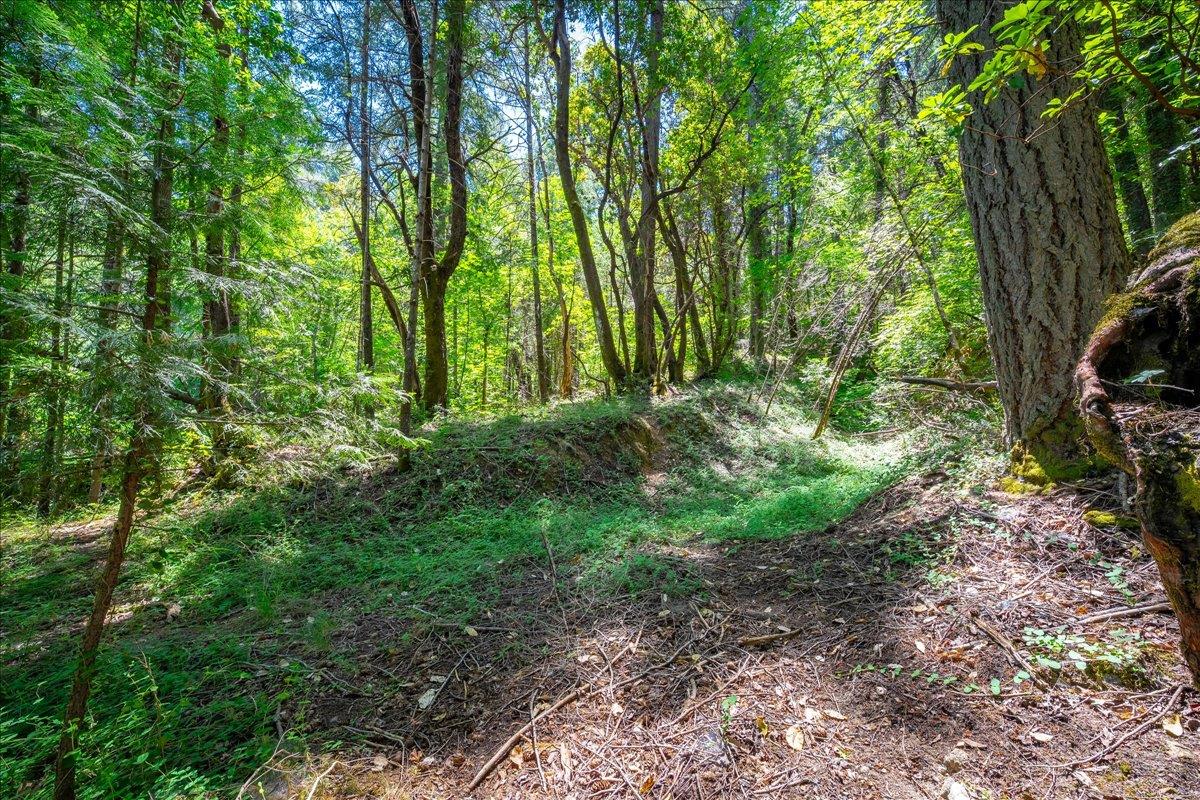 Detail Gallery Image 58 of 93 For 3065 Oregon Trail Rd, Georgetown,  CA 95634 - 3 Beds | 2 Baths
