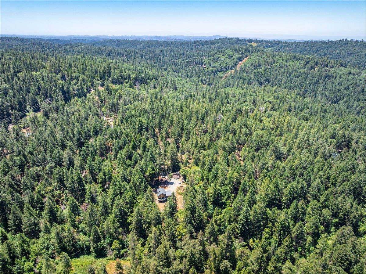 Detail Gallery Image 88 of 93 For 3065 Oregon Trail Rd, Georgetown,  CA 95634 - 3 Beds | 2 Baths