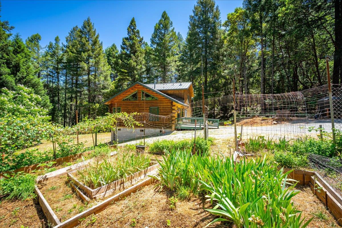 Detail Gallery Image 50 of 93 For 3065 Oregon Trail Rd, Georgetown,  CA 95634 - 3 Beds | 2 Baths