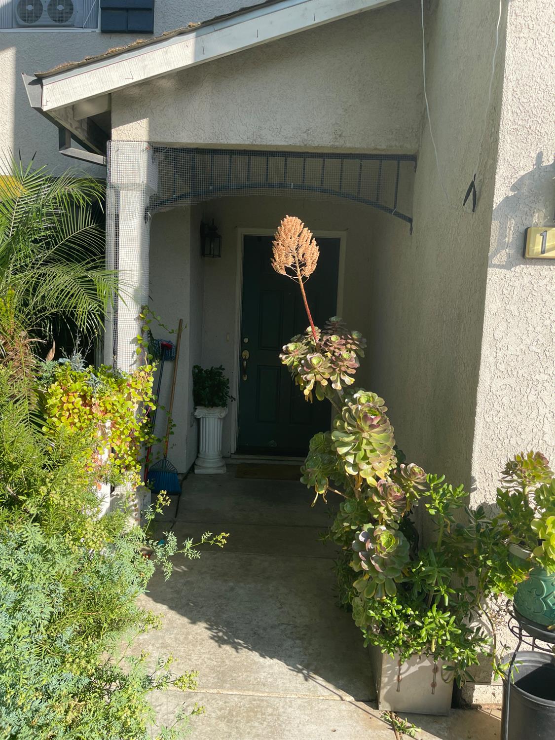 Detail Gallery Image 2 of 3 For 1242 Sunup Dr, Merced,  CA 95348 - 3 Beds | 2 Baths
