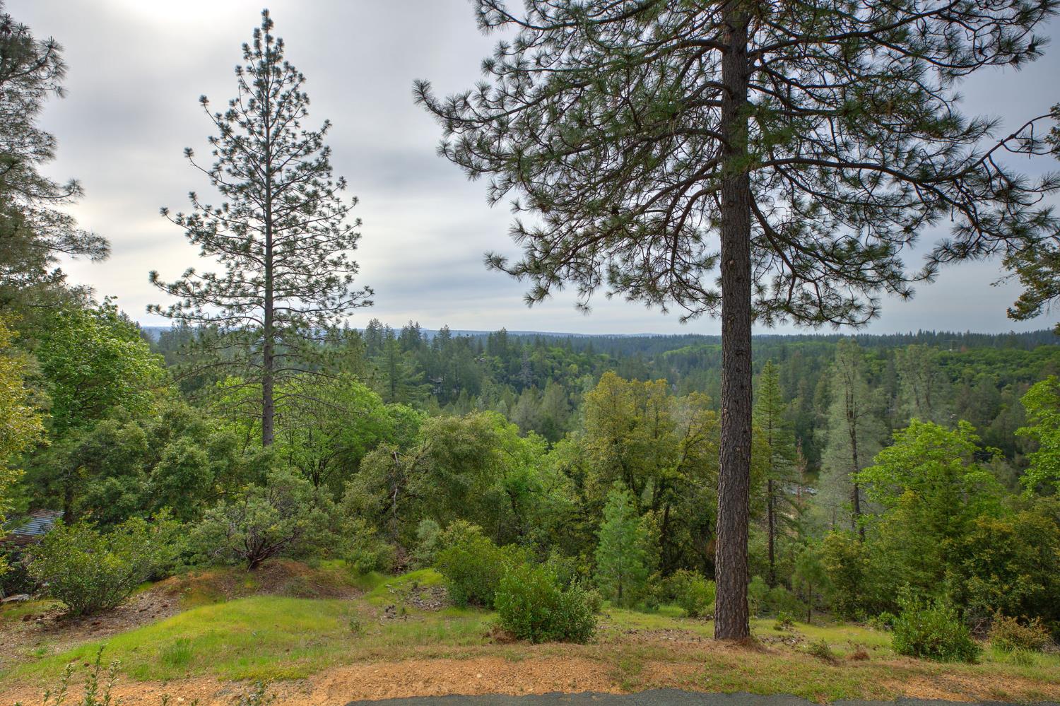 Detail Gallery Image 29 of 39 For 100 Overlook Dr Ca,  Colfax,  CA 95713 - 4 Beds | 2/1 Baths