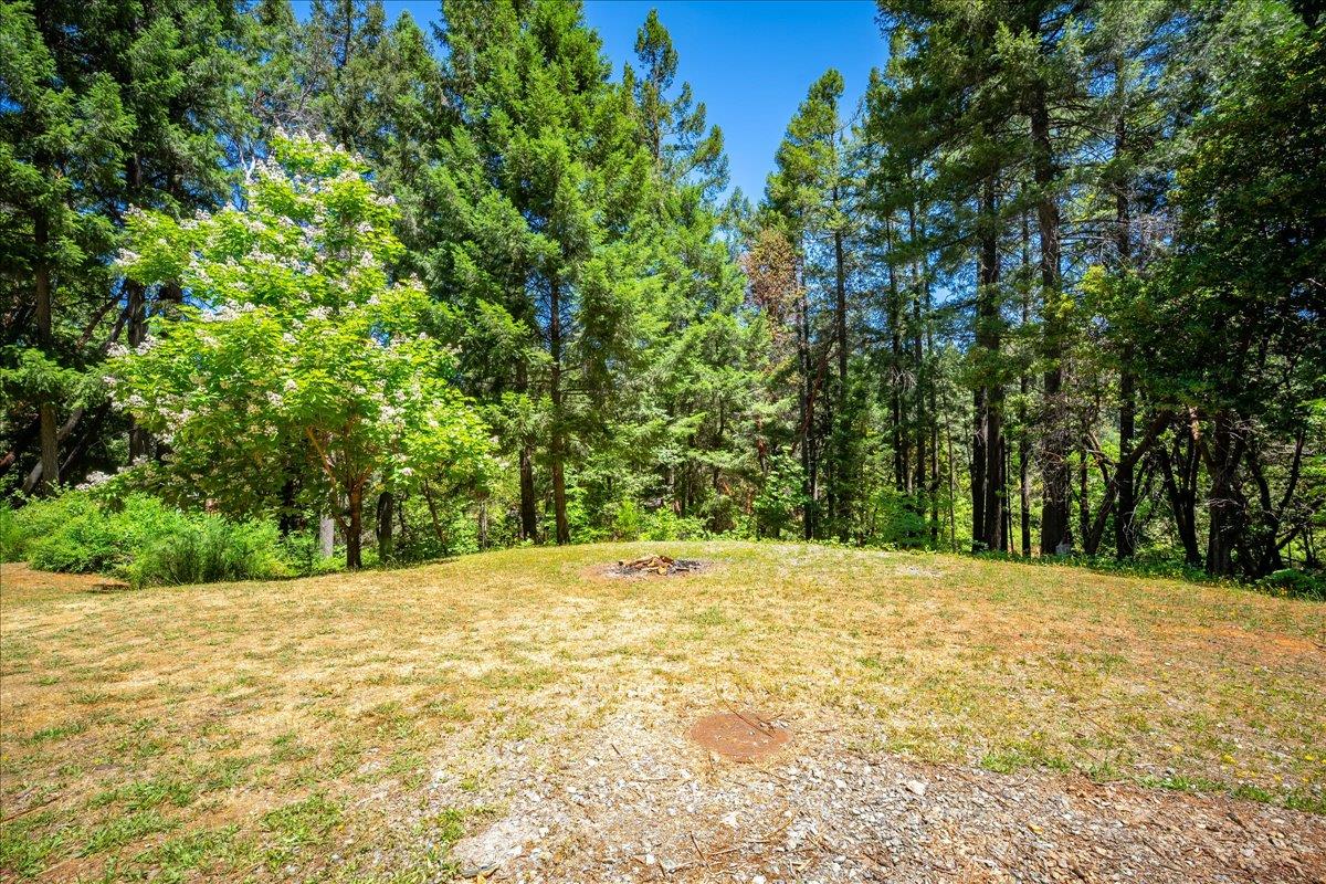 Detail Gallery Image 72 of 93 For 3065 Oregon Trail Rd, Georgetown,  CA 95634 - 3 Beds | 2 Baths